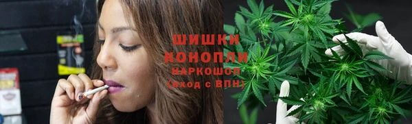 стафф Ладушкин