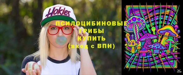 гидра Лихославль