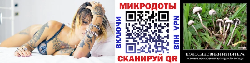 OMG как зайти  Терек  Галлюциногенные грибы прущие грибы 