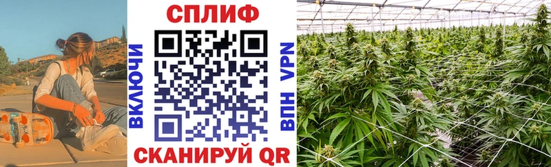 наркошоп  Терек  Бошки Шишки Ganja 