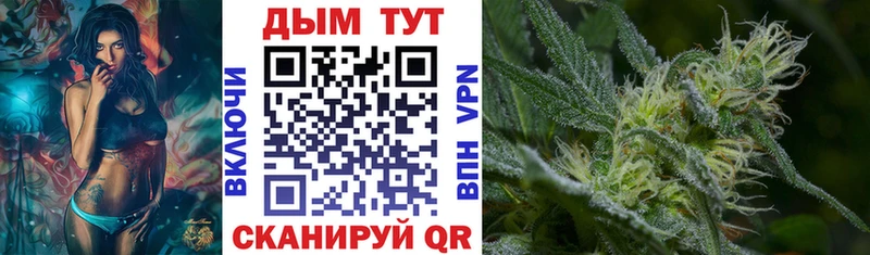 Каннабис OG Kush Терек